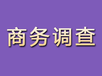 新宾商务调查